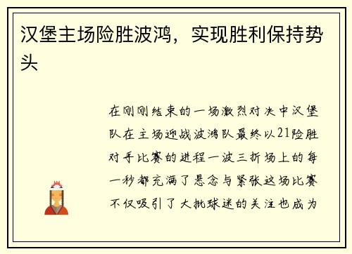 汉堡主场险胜波鸿，实现胜利保持势头